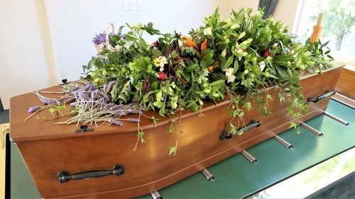 High angle view of potted plants on table