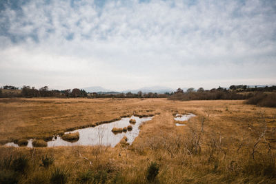 High angle view of marsh against sky