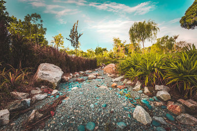 Garbage bin on rocks