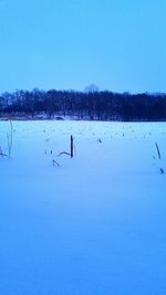 Scenic view of frozen lake against clear blue sky