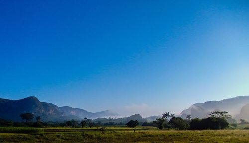 Scenic view of field against clear blue sky
