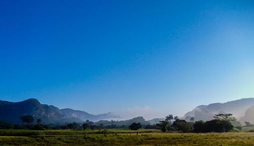 Scenic view of field against clear blue sky