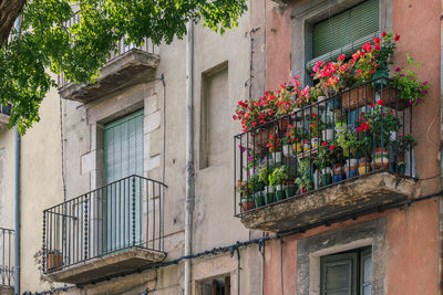 Low angle view of potted plants on balcony of building