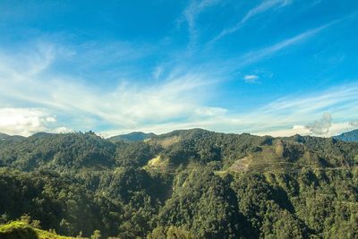 Scenery from the top of a mountain