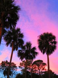 Low angle view of coconut palm trees against romantic sky