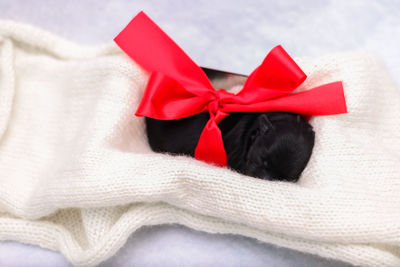 High angle view of christmas decoration in box