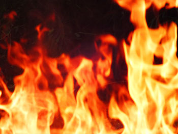 Close-up of bonfire