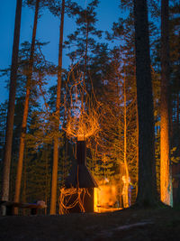 Illuminated trees in forest against sky at night by fire