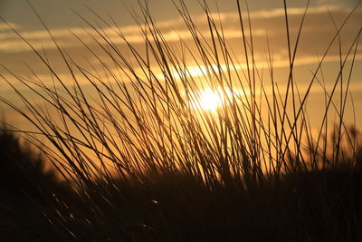 Scenic view of sunset sky during sunrise