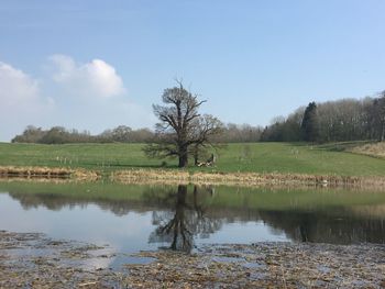 Scenic view of lake against sky