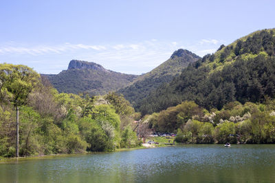 Scenic view of lake by trees against sky