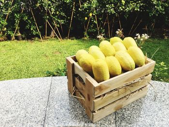 Fruits on grass