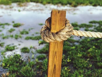 Close-up of rope tied on wood