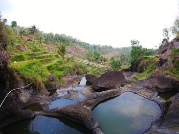 Scenic view of river amidst trees against clear sky