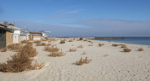 Deserted grassy lanzheron beach in odessa on a sunny autumn day