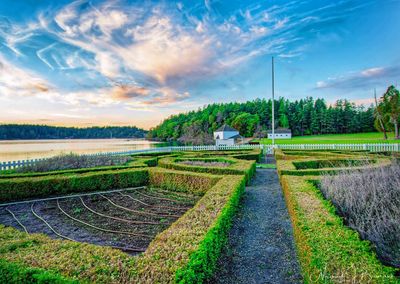 Scenic view of farm against sky