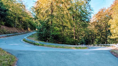 Road amidst trees during autumn