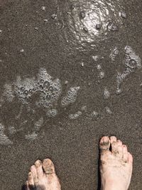 Low section of person standing on beach