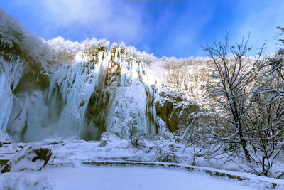 Snow covered trees against sky