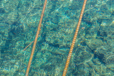 Full frame shot of swimming pool