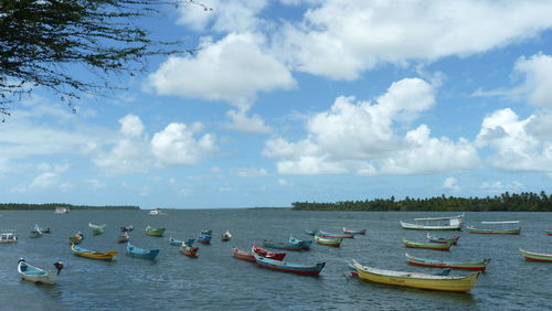 Boats moored in sea against sky