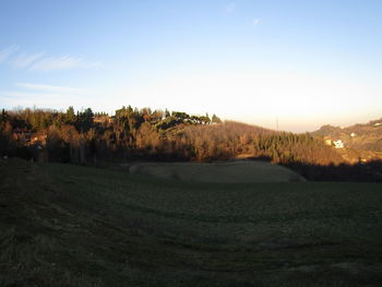 Trees on field against sky during sunset