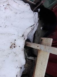 High angle view of rusty chain on log