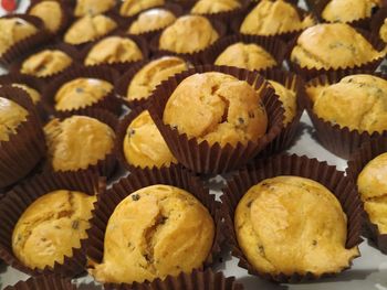 High angle view of cupcakes