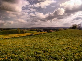 Scenic view of field against sky