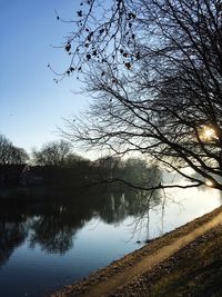 Bare tree by river against clear sky