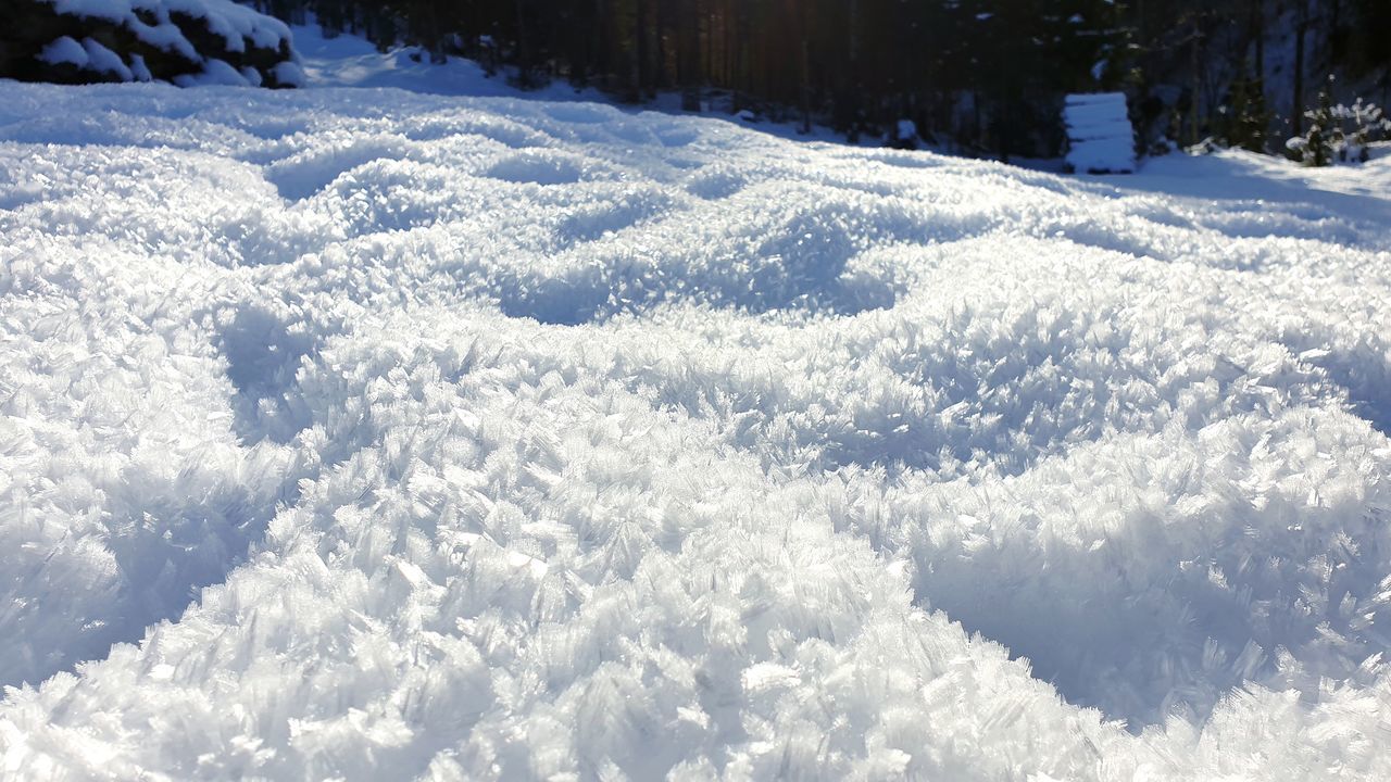 snow, winter, cold temperature, white color, beauty in nature, day, tranquility, nature, no people, scenics - nature, tranquil scene, sunlight, covering, outdoors, frozen, cloud - sky, sunny, field, idyllic