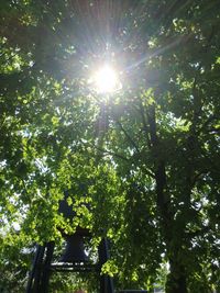 Low angle view of trees in forest against bright sun