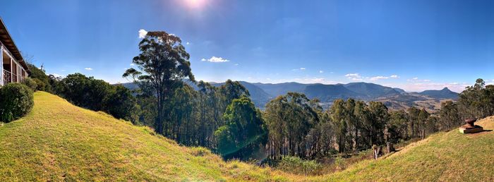 Panoramic view of trees and mountains against sky