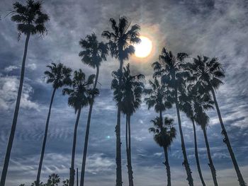 Low angle view of coconut palm trees against sky during sunset