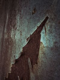 Close-up of peeled wall