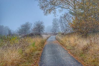 Road amidst trees against clear sky