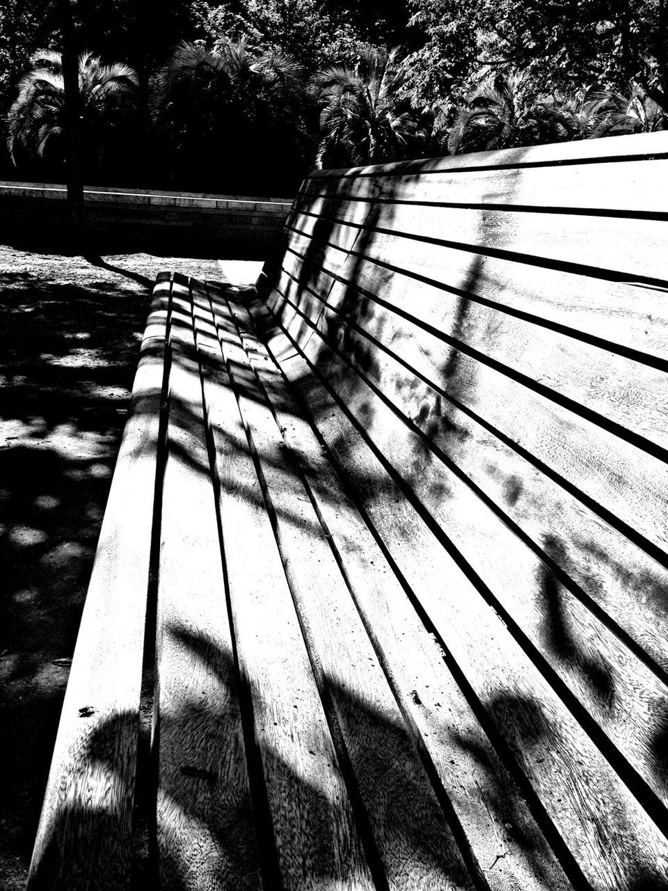 shadow, tree, water, railing, sunlight, high angle view, bench, tranquility, nature, day, outdoors, park - man made space, steps, fence, reflection, empty, wood - material, the way forward, absence, pattern