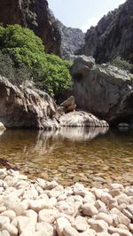 Stream flowing through rocks