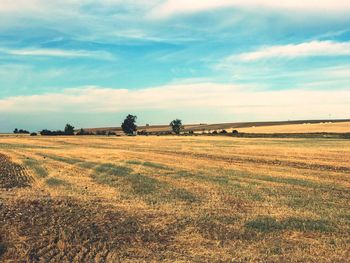 Scenic view of agricultural field against sky