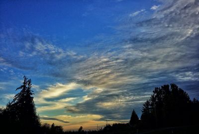 Low angle view of silhouette trees against sky