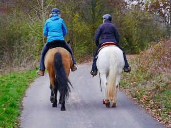 Rear view of people riding horse