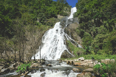 Scenic view of waterfall in forest