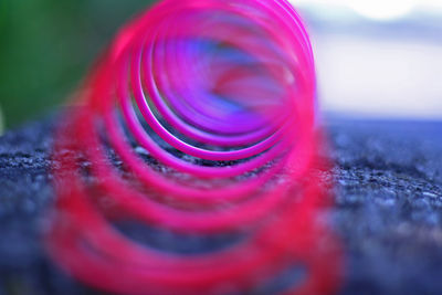 Close-up of pink flower