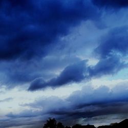 Low angle view of trees against sky