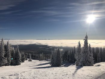 Scenic view of snow covered land against sky