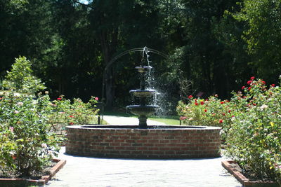 Fountain in park