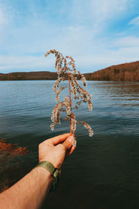 Midsection of man holding plant against lake