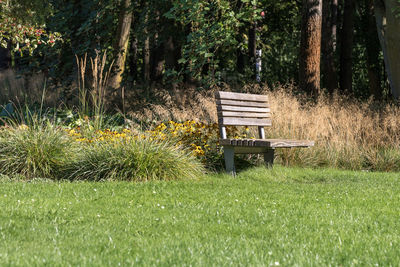 Empty bench in park