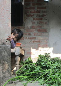 Girl looking away while hiding behind wall by leaf vegetables