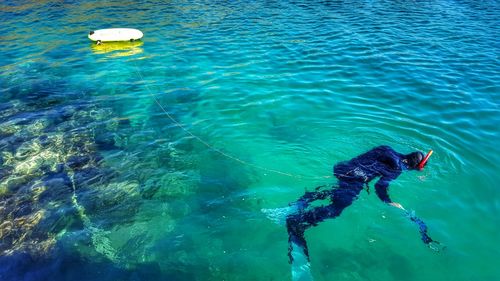 High angle view of man snorkeling in turquoise sea